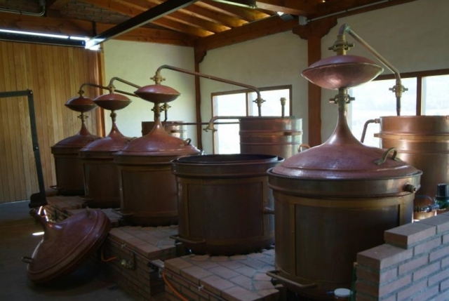 Sala de elaboracion del vino